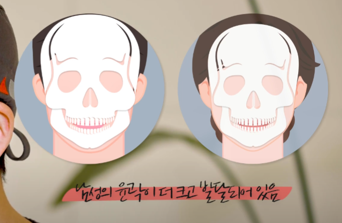 男性臉部輪廓，與女性手術不同的核心重點及注意事項指南