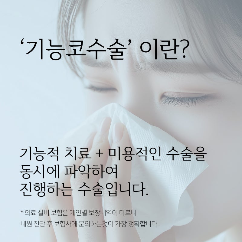 기능코수술, 코 내부 구조까지 고려해야 하는 이유는