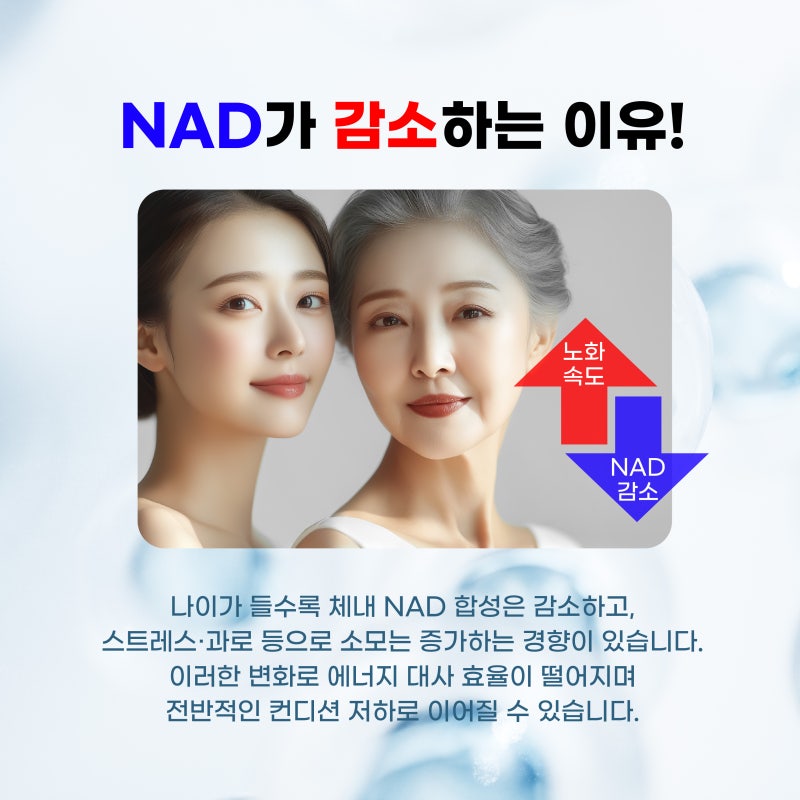부산브이트리주 나드주사 일상 컨디션 관리의 핵심