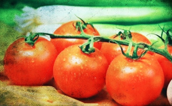 Ядарсан өдрийн сэтгэлийг тайвшруулах дулаан мөчүүд