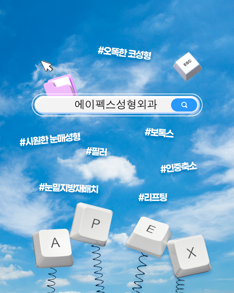 성형에 대한 모든 정보, 성형 무료 상담, 에이펙스성형외과