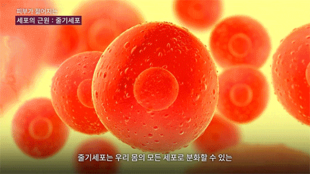 청담줄기세포 피부 유지력이 떨어지는 이유를 봐야 할 때 사진 7