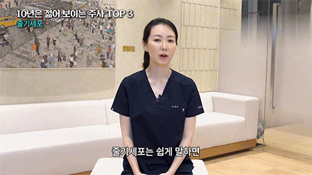 강남역 피부과 줄기세포 효과와 정맥 작용 과정
