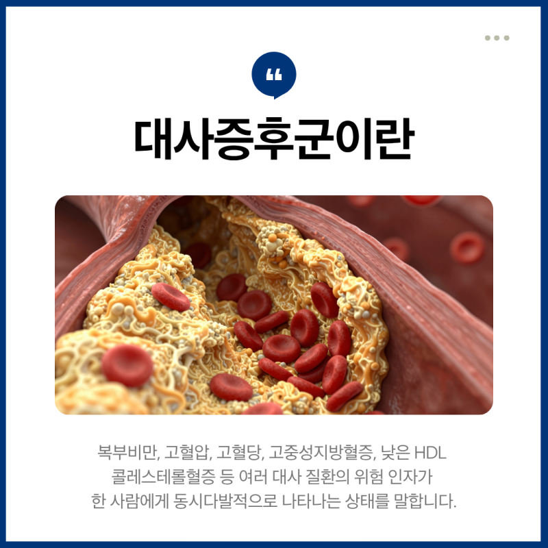 대사증후군 진단 기준 5가지 총정리 사진 2