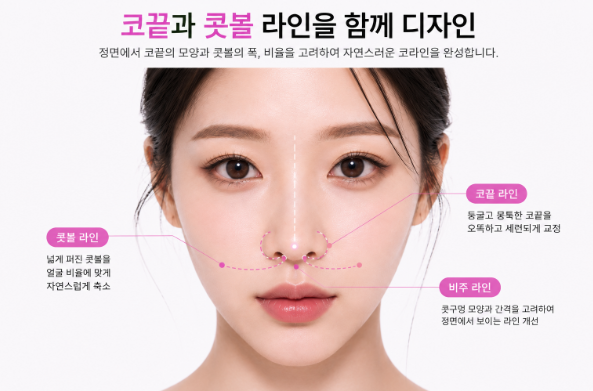 미니젤리코란? 복코·콧볼·코끝은 어떻게 달라질까 사진 2