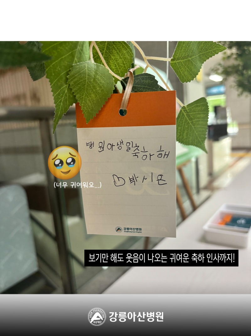 강릉아산병원 개원 30주년 메시지나무를 함께 채워주세요. 사진 7