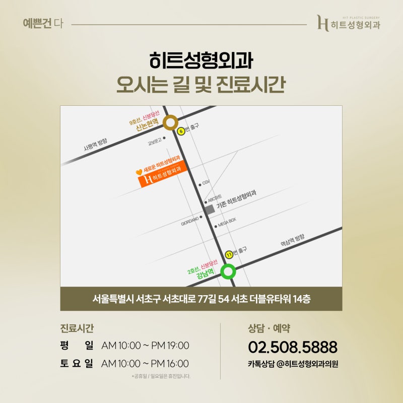 [히트성형외과] 콧구멍이 잘 보이는 코, 내 코도 들창코일까? 사진 7