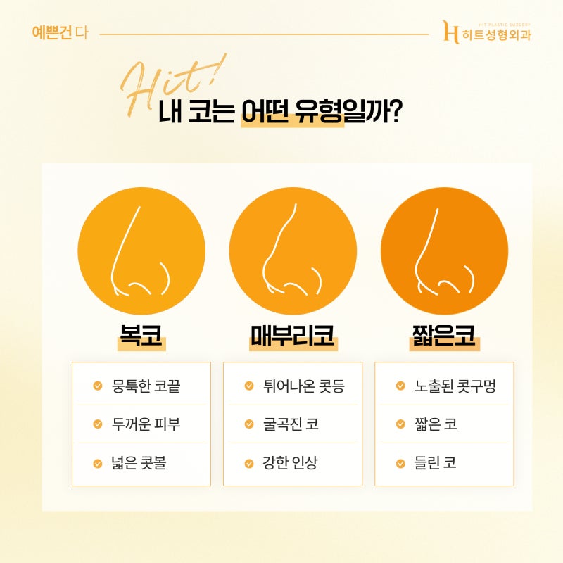 [히트성형외과] 내 코는 어떤 유형일까?