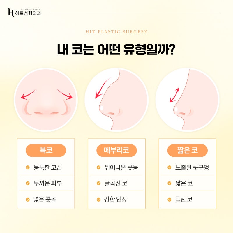 [히트성형외과] 내 얼굴에 맞는 코 유형, 어떻게 구분할까요?