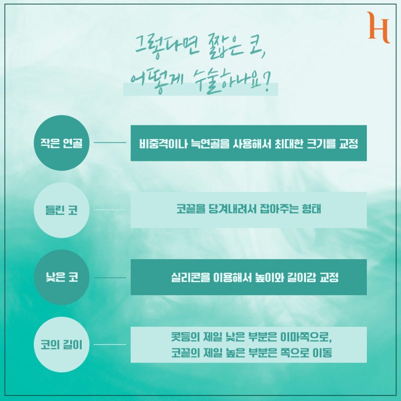 짧은코의 모든 것! [히트성형외과 짧은 코 자가진단, 특징, 수술법, 주의사항] 사진 5