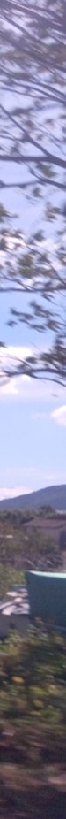 김해상안검 참고해야 할 내용은? 사진 28