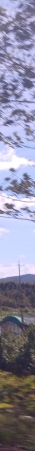 김해상안검 참고해야 할 내용은? 사진 26