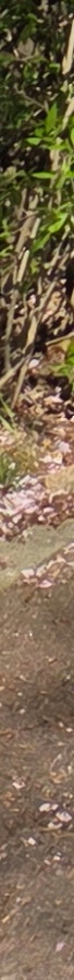 김해 봉합 찢어진 상처 발행 시 행동요령 사진 14