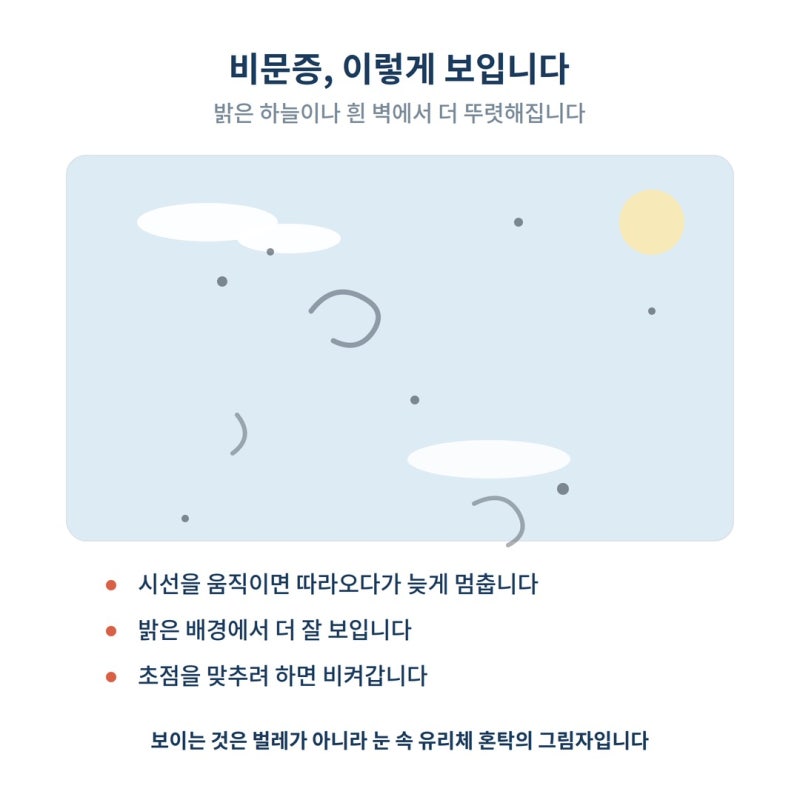 눈앞에 날파리가 떠다닌다면? 그냥 둬도 되는 비문증 vs 당장 안과 갈 신호 사진 2