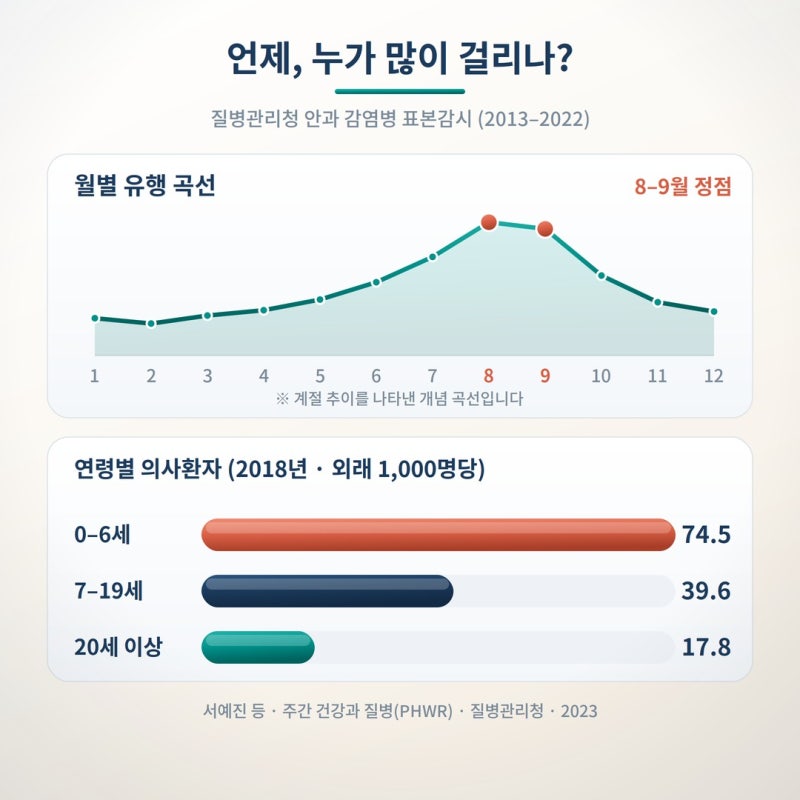 눈곱 끼고 충혈됐다면? 유행성 각결막염 격리 기간과 학교 보내도 되는 시점 사진 2