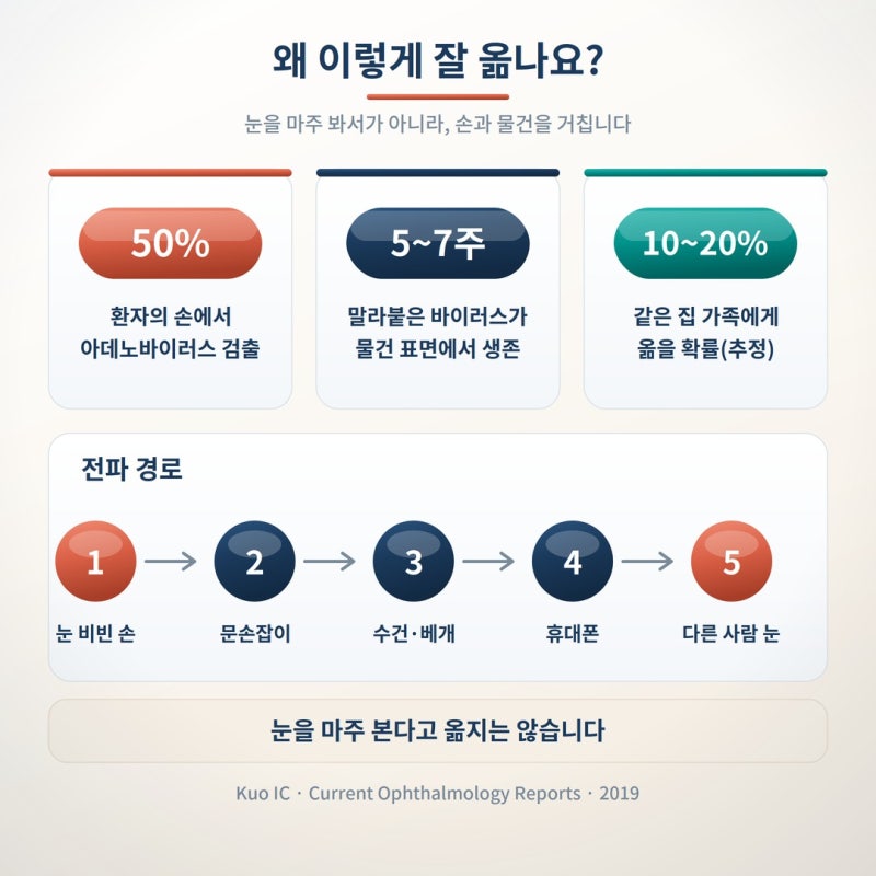 눈곱 끼고 충혈됐다면? 유행성 각결막염 격리 기간과 학교 보내도 되는 시점 사진 4