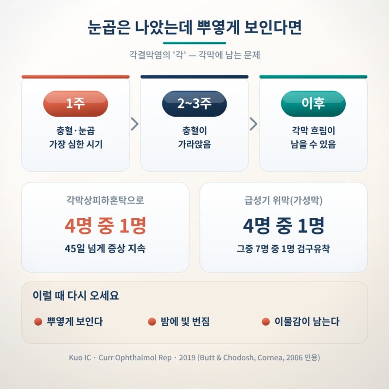 눈곱 끼고 충혈됐다면? 유행성 각결막염 격리 기간과 학교 보내도 되는 시점 사진 7