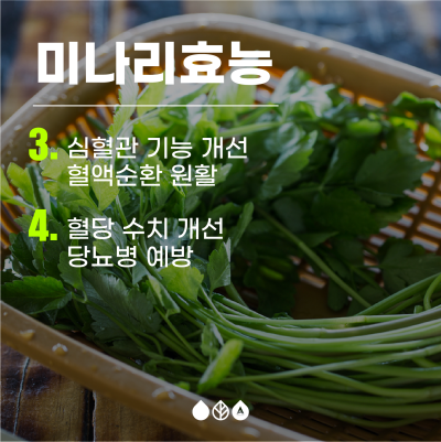 부산 봄나들이 축제 - 2024 원동 미나리 축제 사진 10