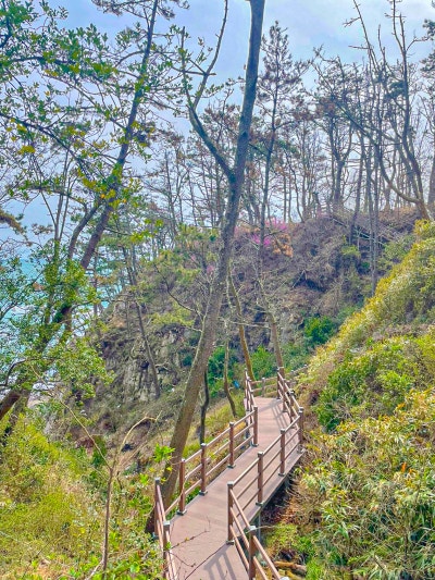 경주 전촌항 부산 근교 걷기좋은곳 사진 11