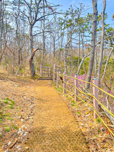 경주 전촌항 부산 근교 걷기좋은곳 사진 12