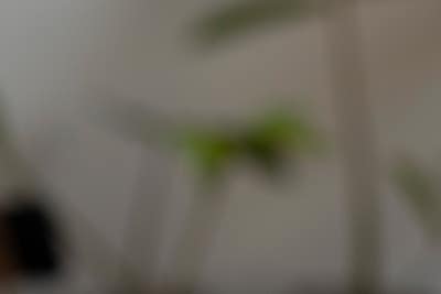 김병준 레다스 흉부외과, 키르기스스탄에 12번째 국제진료센터 개소 사진 14