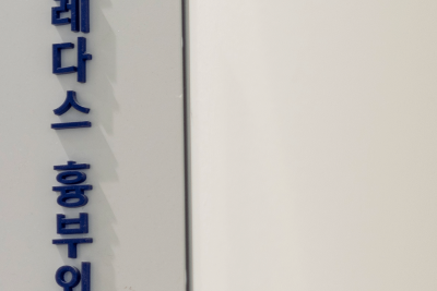 굴의 효능 한국굴, 유럽굴(서양굴), 삼배체굴? 뭐가 다를까? 사진 17