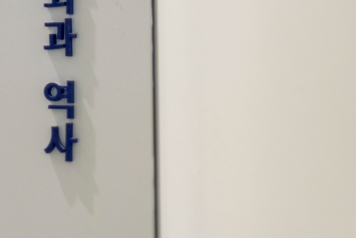 부산 하지정맥류 재발, 수술 후에도 다시 생기는 이유 사진 18