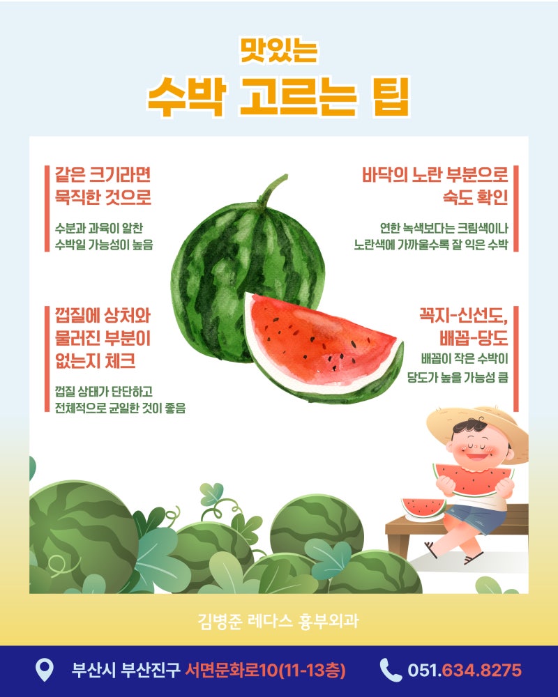 노란 수박vs 빨간 수박의 맛과 효능, 고르는 법 사진 4