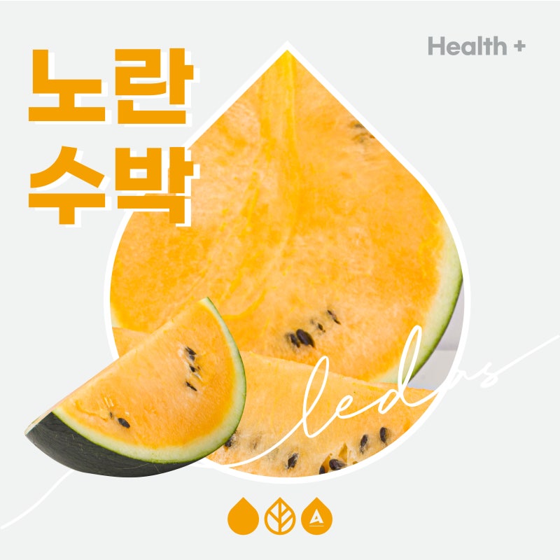 노란 수박vs 빨간 수박의 맛과 효능, 고르는 법
