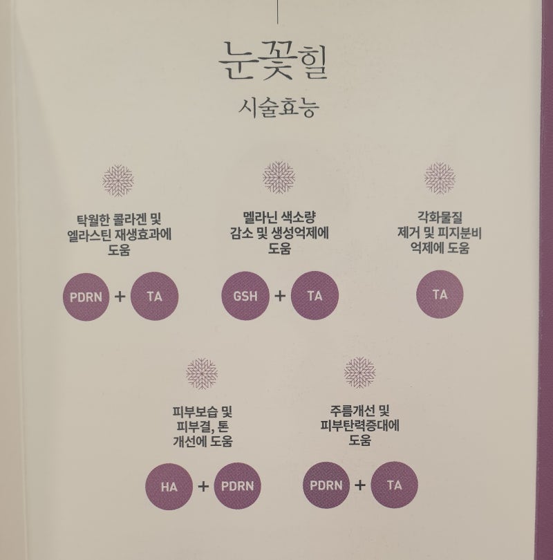 르미엘성형외과 눈꽃힐 기간한정 이벤트! 사진 5