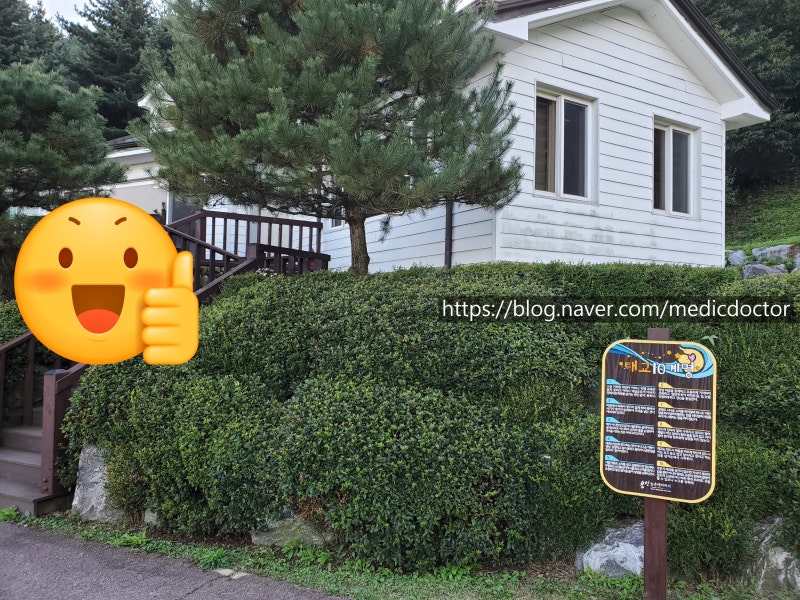 용인 농촌테마파크 곤충