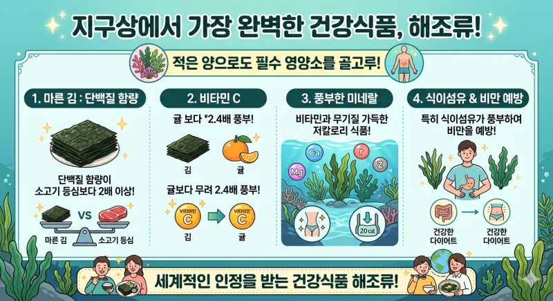 备受世界瞩目的最后超级食物：紫菜、海带、昆布的无限蜕变