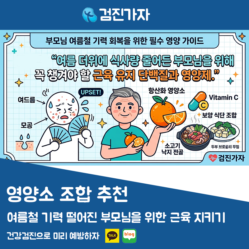 여름철 기력 떨어진 부모님을 위한 필수 영양제 조합 근육 유지 단백질 식단 추천