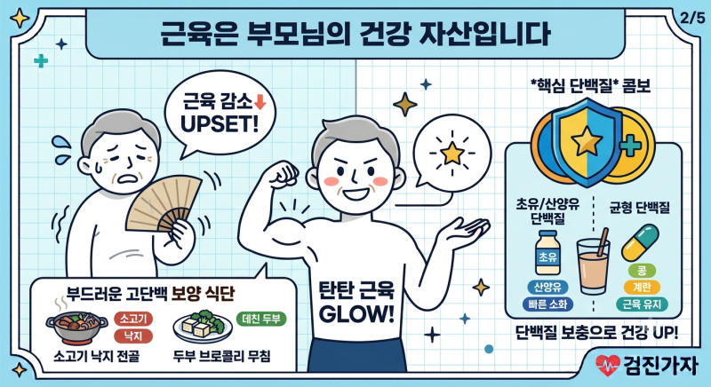 여름철 기력 떨어진 부모님을 위한 필수 영양제 조합 근육 유지 단백질 식단 추천