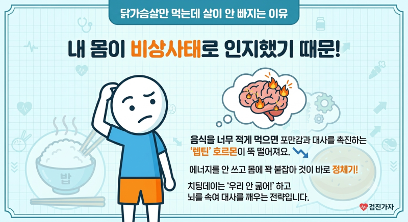 다이어트 정체기 탈출하는 법 호르몬 속이는 똑똑한 치팅데이 식단