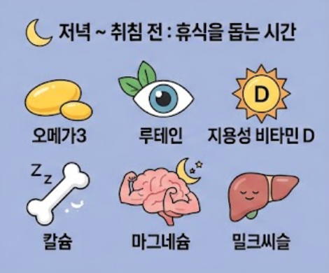 함께 먹으면 독이 되는 영양제 조합 & 시간대별 올바른 섭취 순서 사진 4