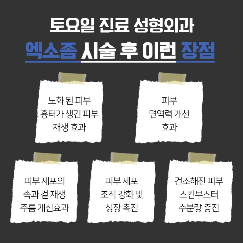 서초피부관리, 줄기세포주사 엑소좀으로 푸석해진 피부 관리 해 보세요 사진 3