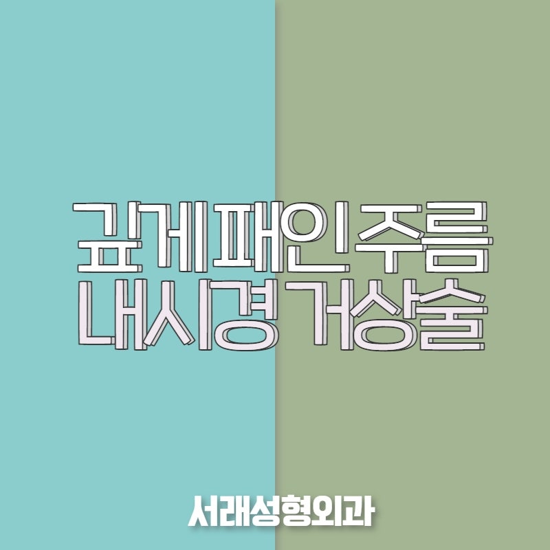 성형외과 전문의와 상담으로 내시경 이마거상술 자세히 알아보기 사진 5