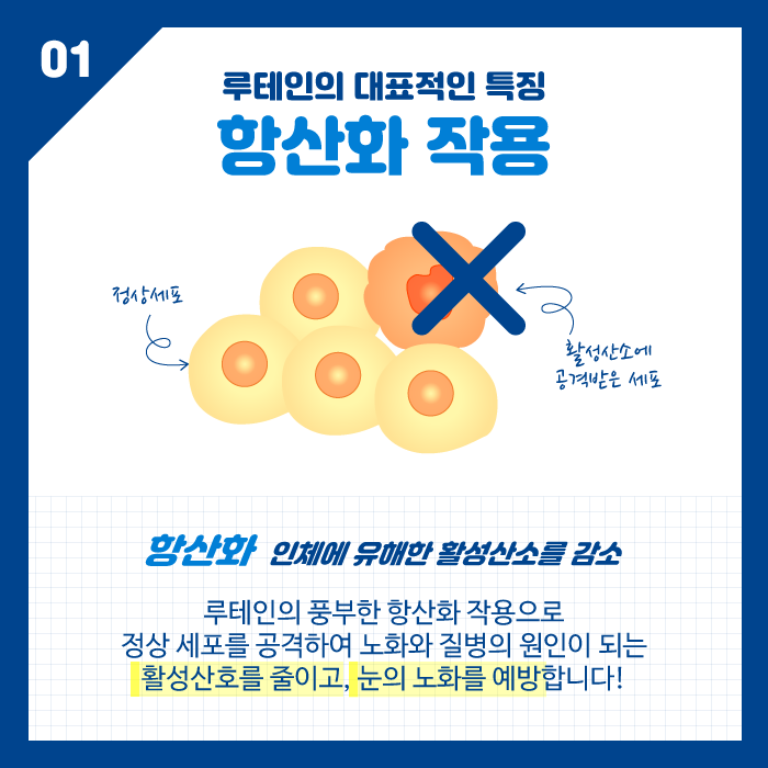 [眼睛健康] 护眼营养素叶黄素，每日摄入量是多少？ 사진 3