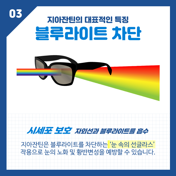 [눈 건강] 눈에 좋은 지아잔틴, 루테인과 어떻게 다른가요? 사진 5