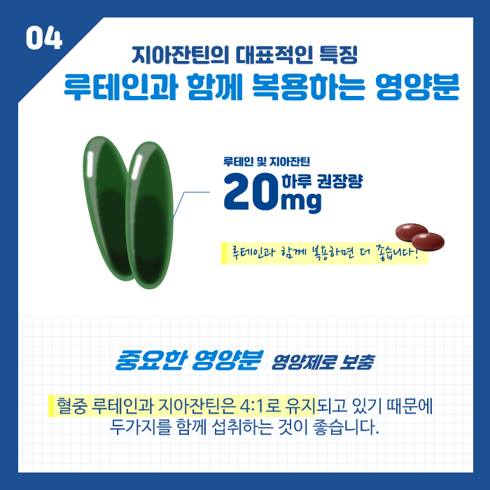 [눈 건강] 눈에 좋은 지아잔틴, 루테인과 어떻게 다른가요? 사진 6