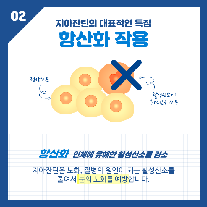 [눈 건강] 눈에 좋은 지아잔틴, 루테인과 어떻게 다른가요? 사진 4