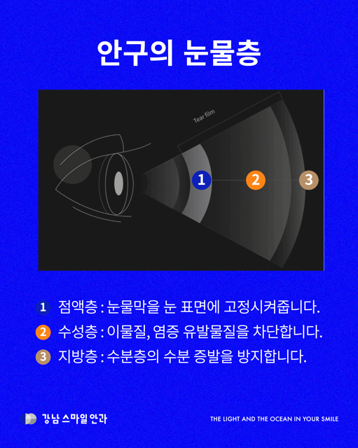 IPL สำหรับตาแห้งที่คลินิกจักษุคังนัมสเตชั่น มีหลักการทำงานอย่างไร? 사진 2
