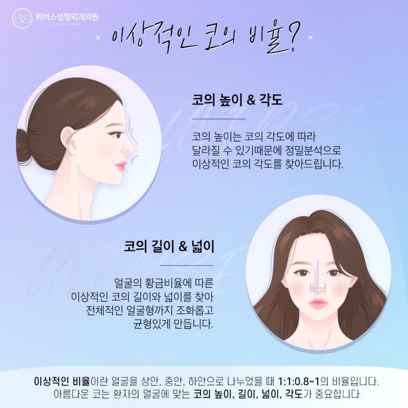 돌출입코성형 비순각과 이상적인 코의 비율