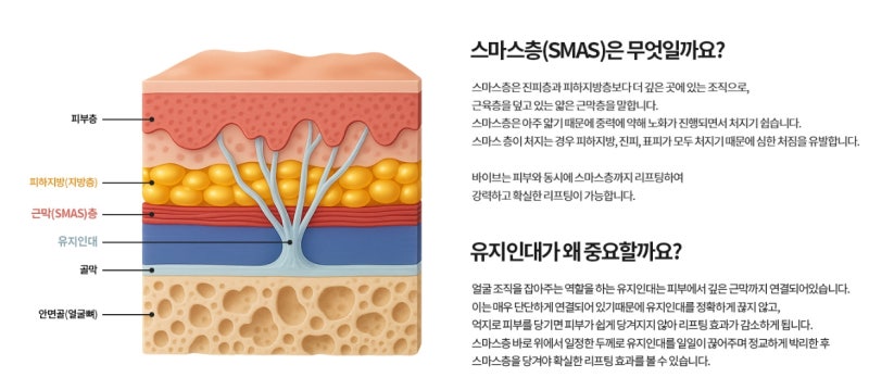 ยกกระชับกังนัม ที่ VIBE Plastic Surgery ด้วยมินิสมาสลิฟต์ (Mini SMAS Lift) อย่างเป็นธรรมชาติ