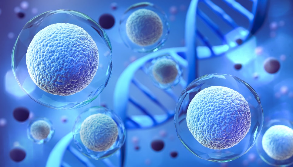 인천줄기세포주사로 환절기 대비 피부와 활력 관리를 시작해 보세요